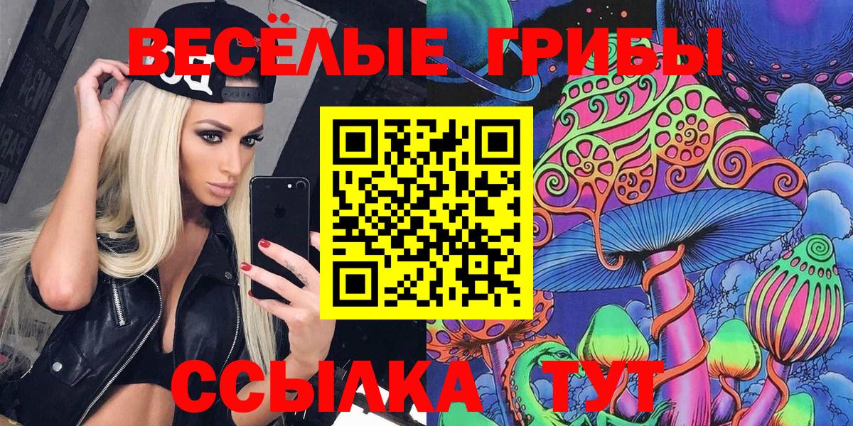 купить   Вход с VPN  Боровичи  Галлюциногенные грибы Cubensis 